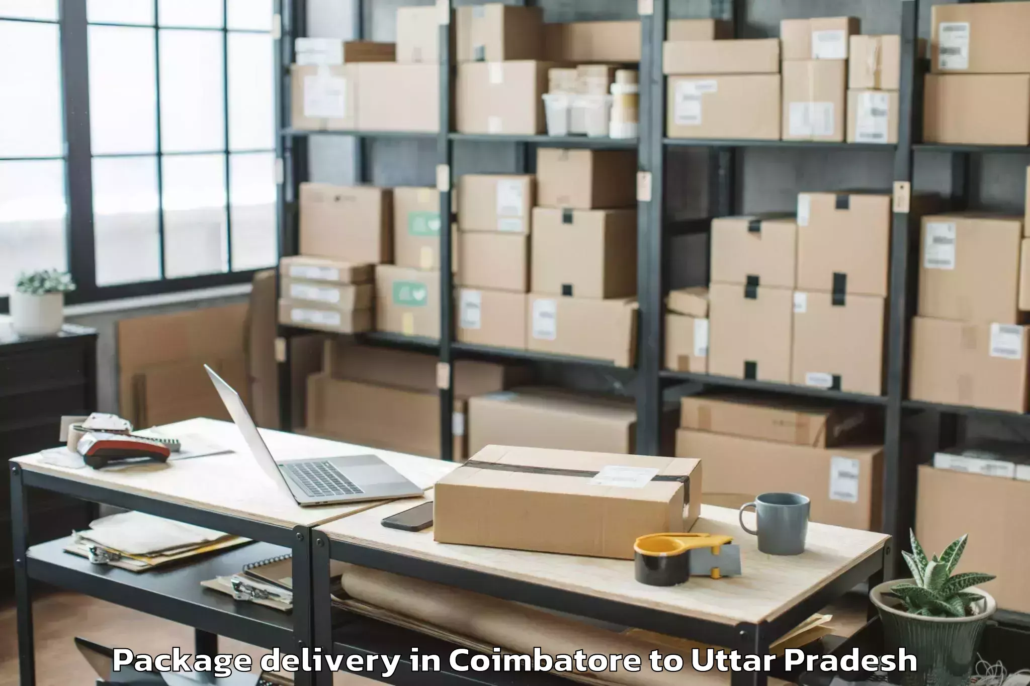 Affordable Coimbatore to Sasni Package Delivery